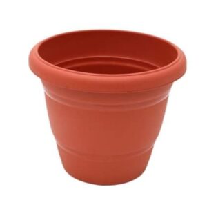 Flower Pot